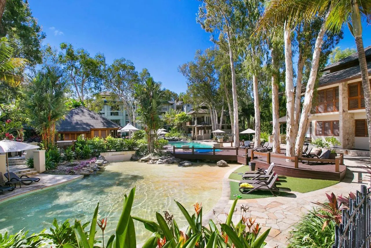 Apartment Belle Escapes 417 Penthouse Luxury Suite In Palm Cove Australia